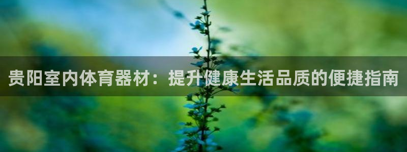 耀世娱乐腾讯分分彩代理联系方式：贵阳室内体育器材：提