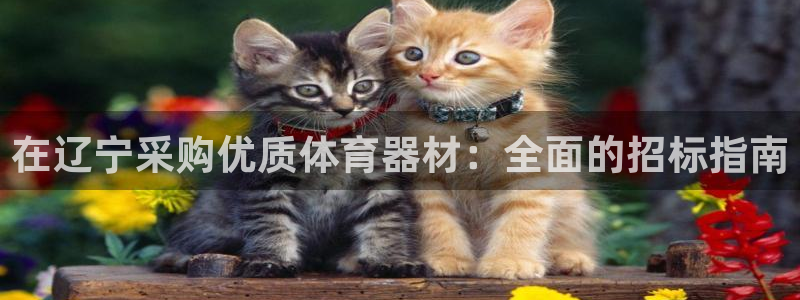 耀世平台代理怎么做任务：在辽宁采购优质体育器材：全面