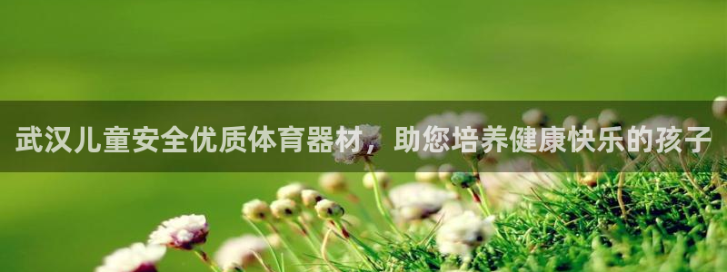 耀世平台注册流程图片：武汉儿童安全优质体育器材，助您