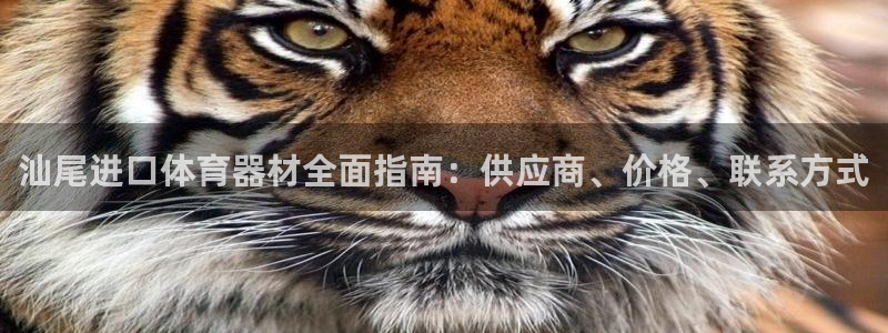 耀世娱乐是什么意思啊：汕尾进口体育器材全面指南：供应