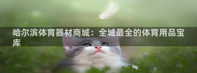 耀世娱乐登录遍333OO：哈尔滨体育器材商城：全城最