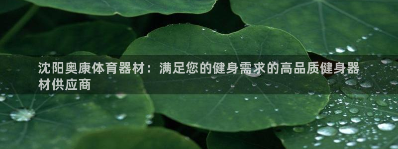 耀世集团董事长抖音名字：沈阳奥康体育器材：满足您的健