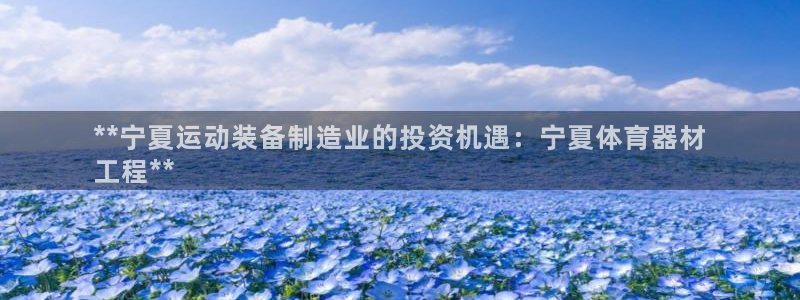 耀世集团商业联盟招聘：**宁夏运动装备制造业的投资机