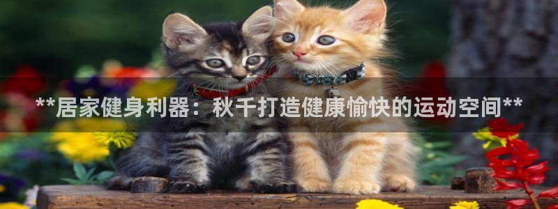 耀世平台是黑台子吗还是白台：**居家健身利器：秋千打