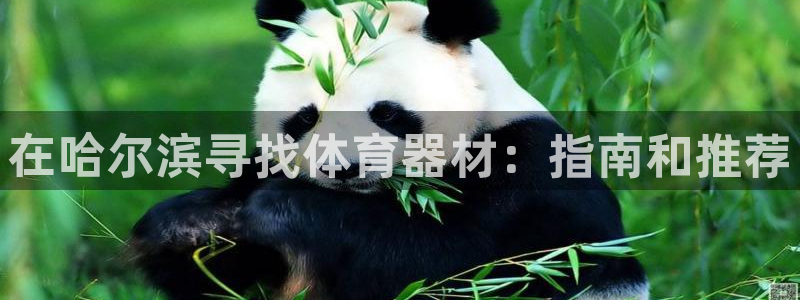 耀世挑战第三关怎么打：在哈尔滨寻找体育器材：指南和推