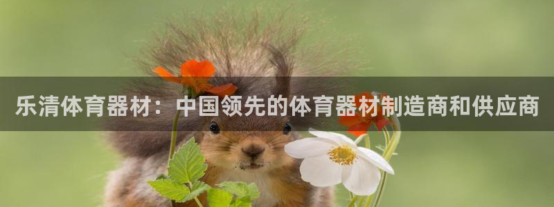 耀世娱乐平台官网登录：乐清体育器材：中国领先的体育器