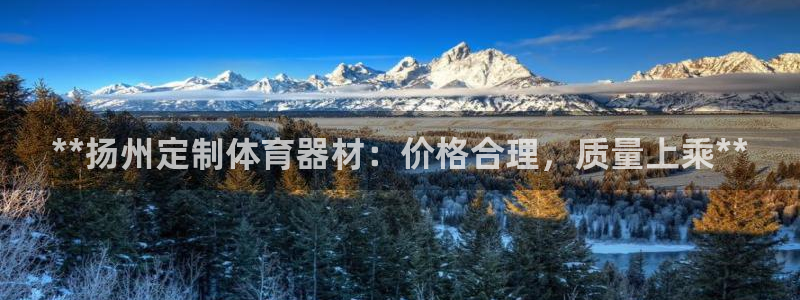 耀世平台招商：**扬州定制体育器材：价格合理，质量上