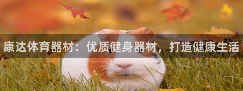 耀世集团是干嘛的企业：康达体育器材：优质健身器材，打