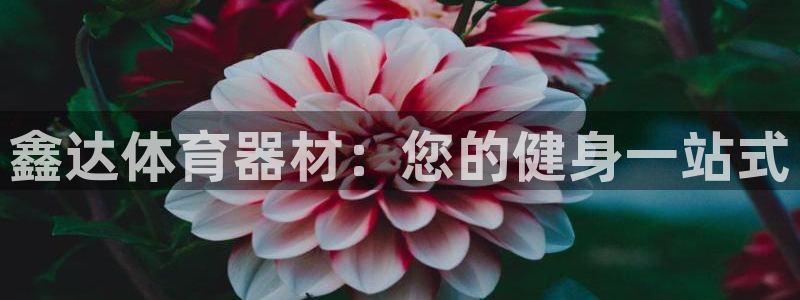 耀世平台注册最新地址：鑫达体育器材：您的健身一站式