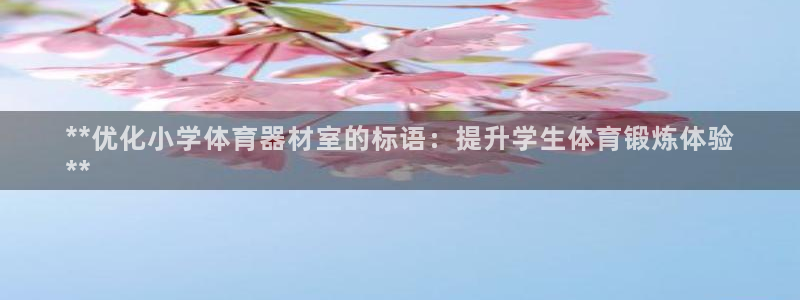 耀世娱乐中国：**优化小学体育器材室的标语：提升学生