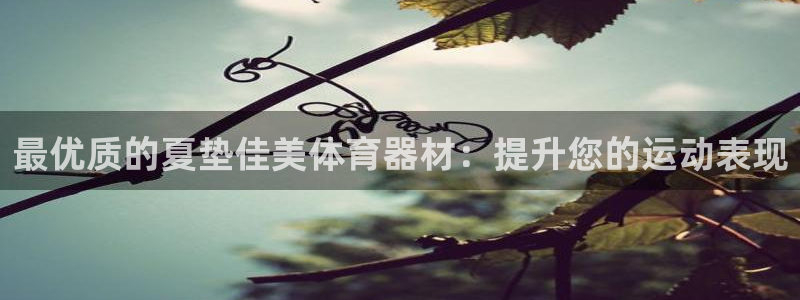 耀世娱乐返点多少钱：最优质的夏垫佳美体育器材：提升您
