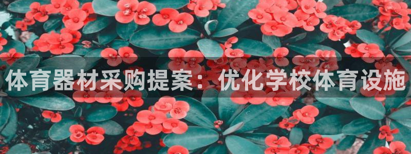 耀世平台拿什么输入账号密码：体育器材采购提案：优化学