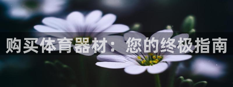 耀世娱乐联 585341：购买体育器材：您的终极指南