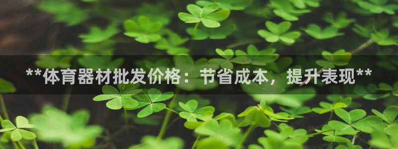耀世集团商业联盟：**体育器材批发价格：节省成本，提