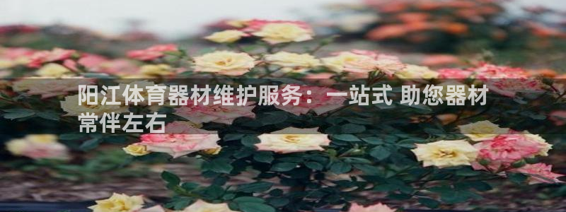 耀世盛典手游下载安装：阳江体育器材维护服务：一站式 