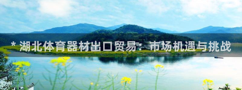 耀世集团是什么电影里的人物：* 湖北体育器材出口贸易