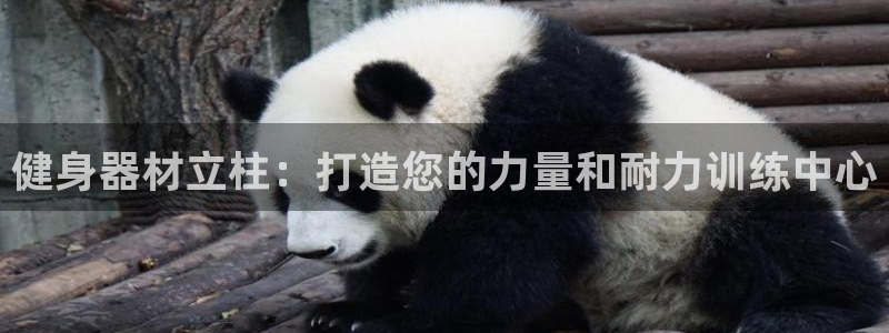 耀世娱乐登录地址在哪查：健身器材立柱：打造您的力量和