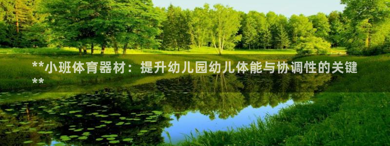 耀世娱乐佳 5O6917 娱乐：**小班体育器材：提