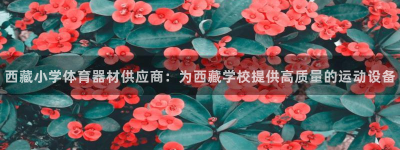 耀世娱乐官网首页登录入口：西藏小学体育器材供应商：为