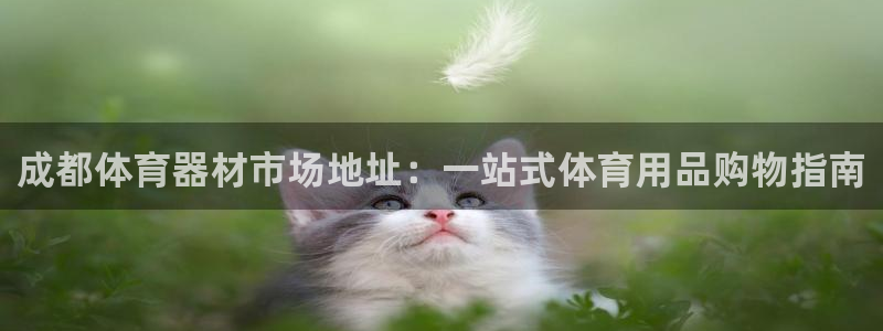 耀世开盘是什么意思：成都体育器材市场地址：一站式体育