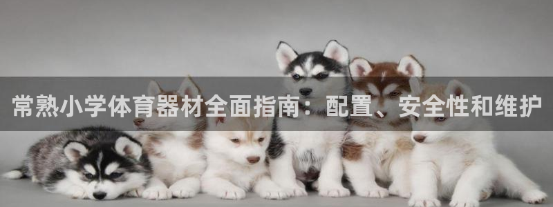 耀世娱乐官网首页登录不了：常熟小学体育器材全面指南：