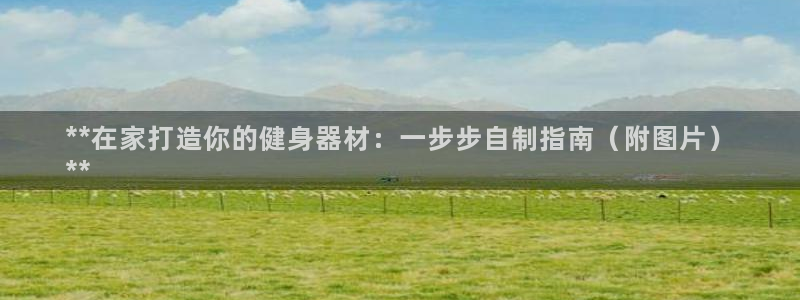 耀世娱乐网址是什么啊：**在家打造你的健身器材：一步