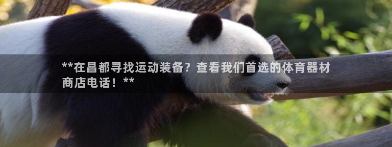 耀世集团视频介绍大全：**在昌都寻找运动装备？查看我