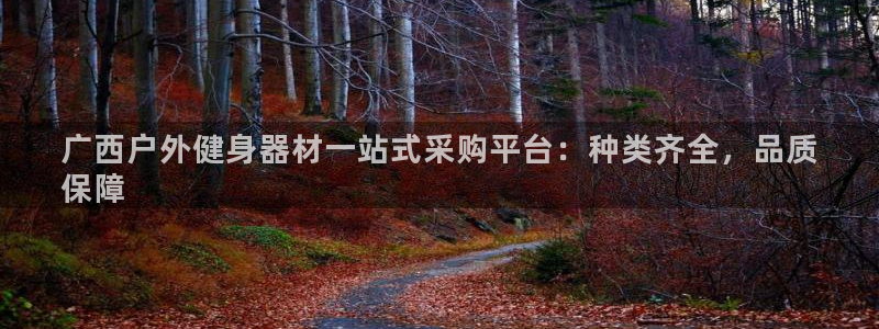 耀世娱乐是不是很黑的：广西户外健身器材一站式采购平台