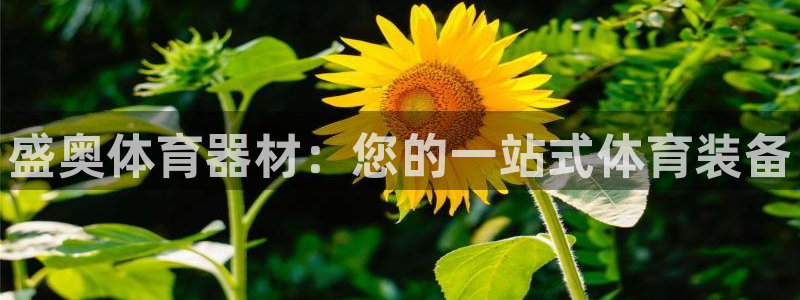 耀世平台注册链接怎么弄：盛奥体育器材：您的一站式体育