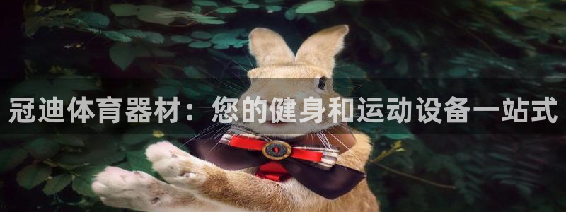 耀世天下：冠迪体育器材：您的健身和运动设备一站式