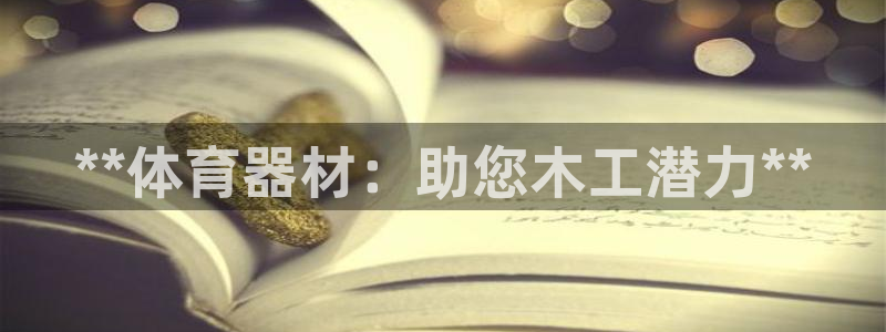耀世娱乐挂机软件：**体育器材：助您木工潜力**