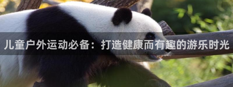 耀世娱乐平台注册地址在哪里看：儿童户外运动必备：打造