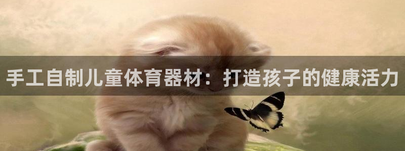 耀世平台注册链接怎么弄：手工自制儿童体育器材：打造孩