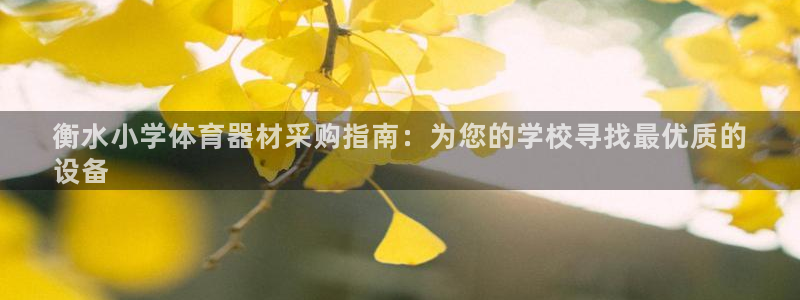 耀世娱乐提款多久到账户：衡水小学体育器材采购指南：为