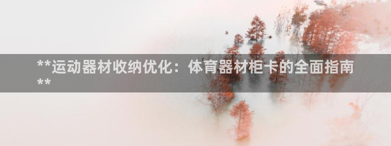 耀世娱乐是正规还是仿真：**运动器材收纳优化：体育器