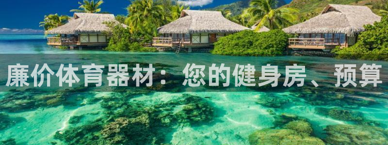 耀世娱乐脚本下载安装：廉价体育器材：您的健身房、预算