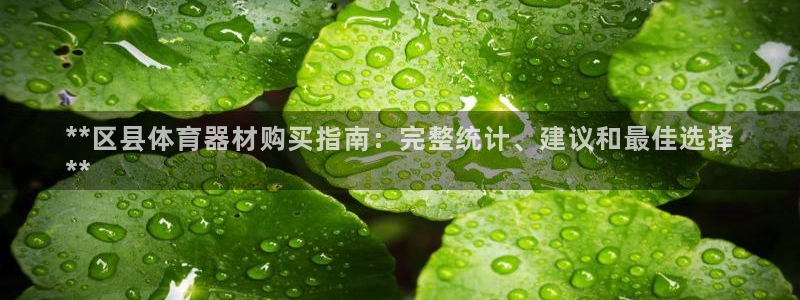 耀世集团视频：**区县体育器材购买指南：完整统计、建