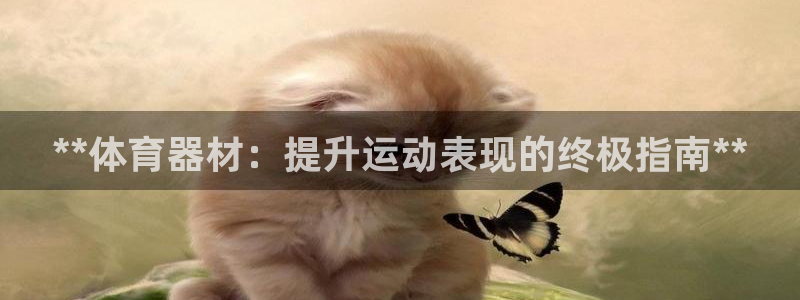 耀世娱乐脚本下载安装：**体育器材：提升运动表现的终