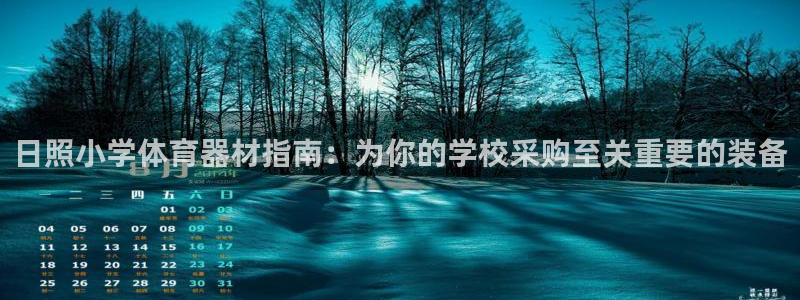 耀世娱乐平台官网下载：日照小学体育器材指南：为你的学