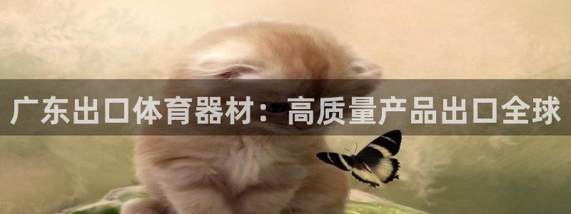 耀世娱乐挂机脚本下载：广东出口体育器材：高质量产品出