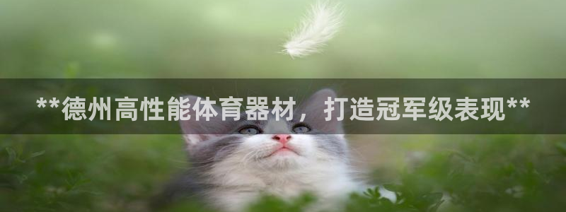 耀世娱乐老板：**德州高性能体育器材，打造冠军级表现