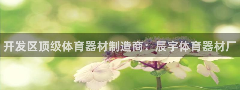 耀世娱乐注册官网入口：开发区顶级体育器材制造商：辰宇