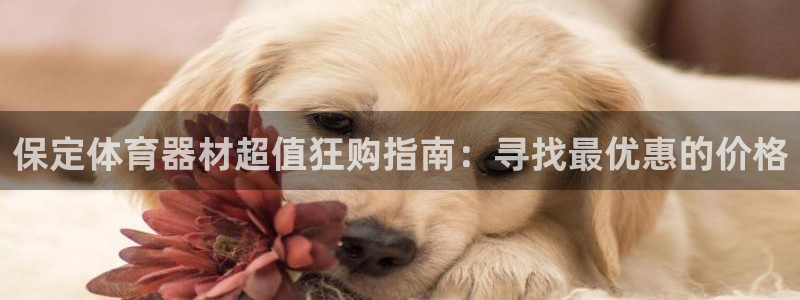 耀世娱乐官网网站登录：保定体育器材超值狂购指南：寻找