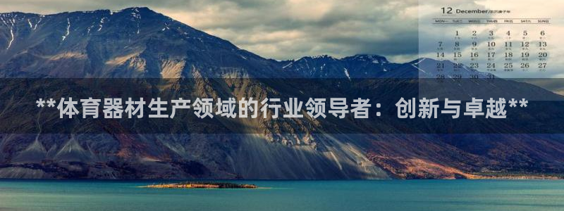 耀世汽车：**体育器材生产领域的行业领导者：创新与卓