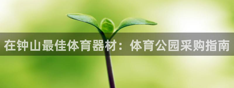 耀世平台注册开户：在钟山最佳体育器材：体育公园采购指