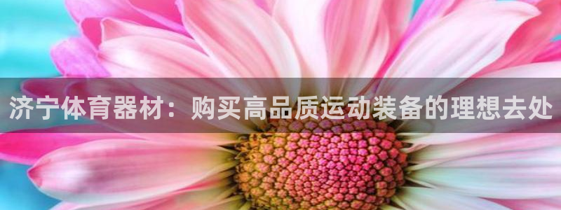 耀世娱乐是不是赚钱了：济宁体育器材：购买高品质运动装