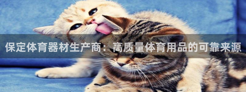 耀世平台注册网址是什么意思：保定体育器材生产商：高质