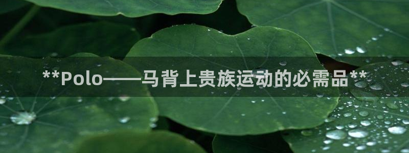 耀世娱乐价 411O31 耀世：**Polo——马背