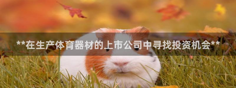 耀世登场：**在生产体育器材的上市公司中寻找投资机会