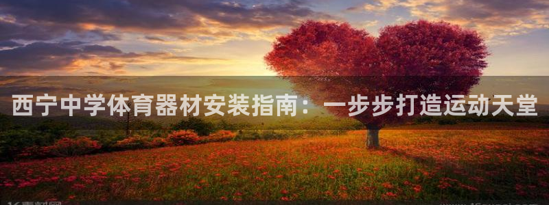 耀世娱乐平台官网登录不了了：西宁中学体育器材安装指南
